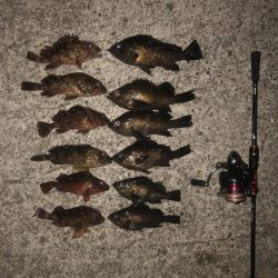 ガルプ強すぎwww。