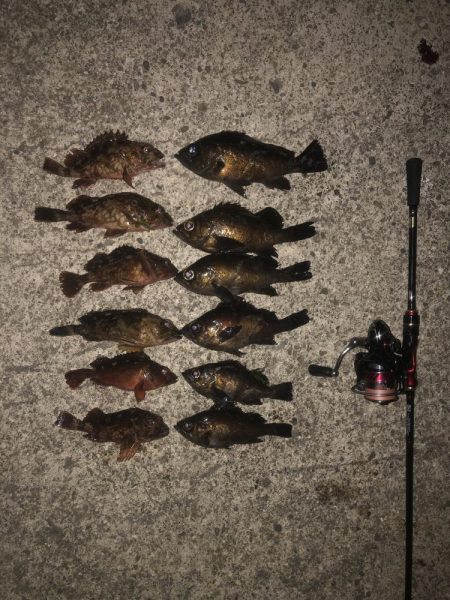 ガルプ強すぎwww。