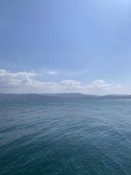 コウイカエギング