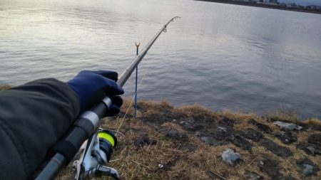 エレベーター仕掛けのシーバス