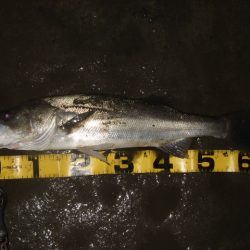 ひたすらスローに