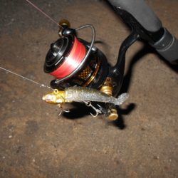 そろそろボトムパターンも本格化？