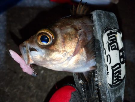 仕事帰りにメバリング