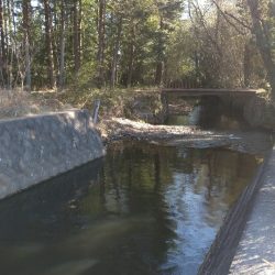 バラシ連発後、執念の1匹