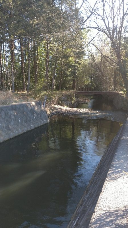 バラシ連発後、執念の1匹