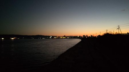 予想外のタチウオ