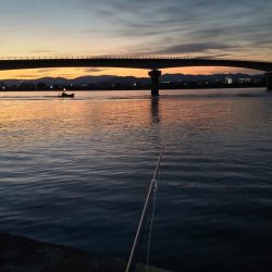 フラットフィッシュ狙い