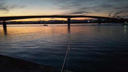 フラットフィッシュ狙い