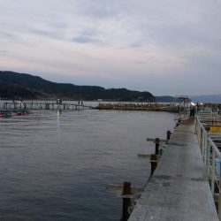 小島養魚場でトラウトサーモン☆