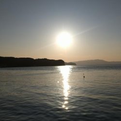 小島養魚場でトラウトサーモン狙い２☆