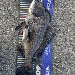 イチノ兄弟、釣果!