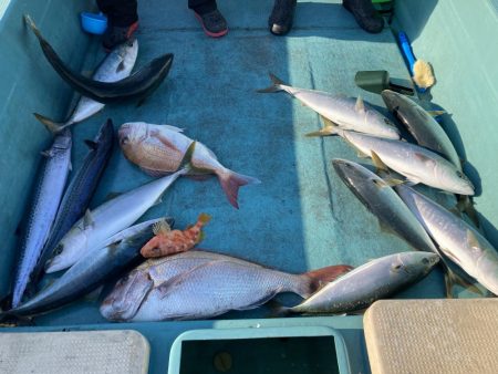 蒲生田沖でサワラ
