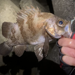 アワジング投稿再開します!