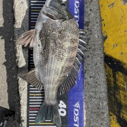 イチノ兄弟、釣果！