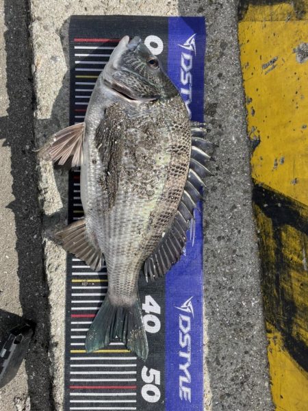 イチノ兄弟、釣果！