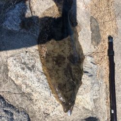 バルトの威力Ⅱ(丸飲み)