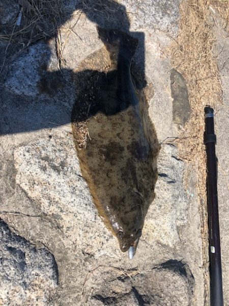 バルトの威力Ⅱ(丸飲み)