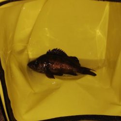 まさかの悪天候