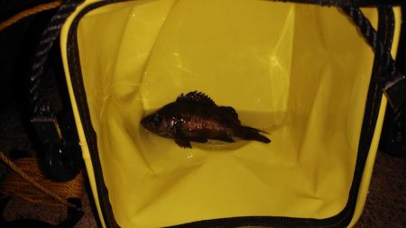 まさかの悪天候