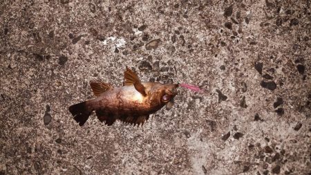 プラグでゲット