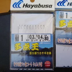 河口湖さかなやドームワカサギ釣り