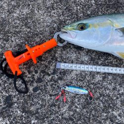 万次郎のポテンシャル