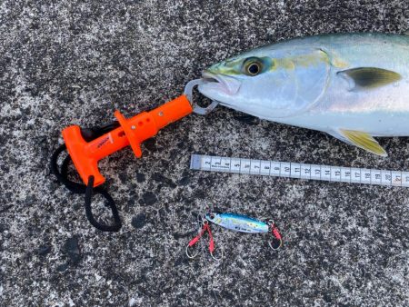 万次郎のポテンシャル