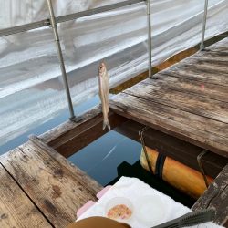 生野銀山湖にてワカサギ初挑戦