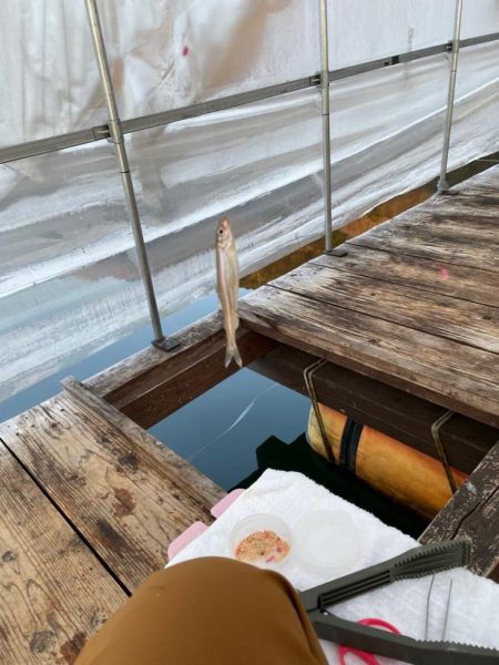 生野銀山湖にてワカサギ初挑戦