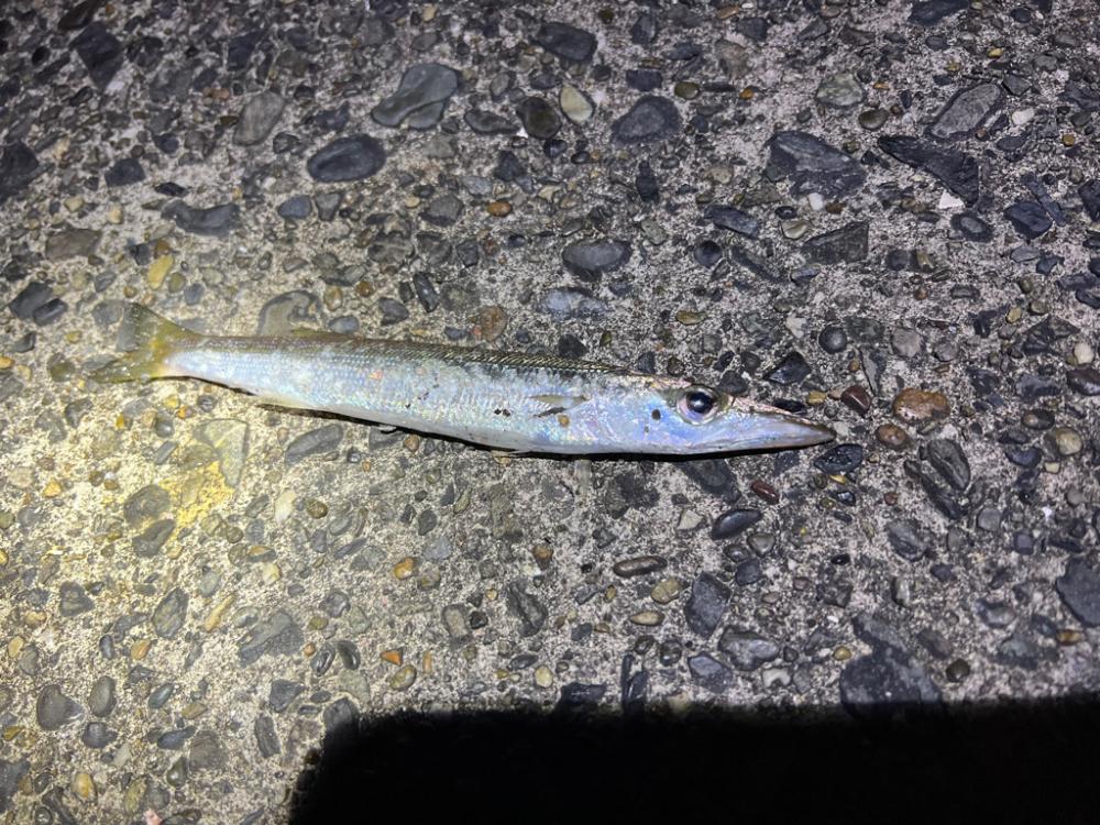 小湊、白灯台やっと行けました