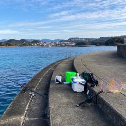 2度目のヤエン釣行