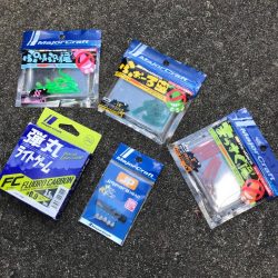 一足早い春を満喫、春告魚のメバル攻略法