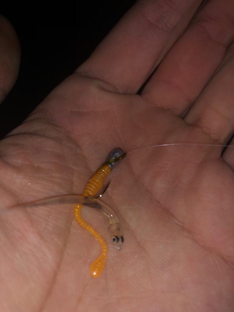 スロープの境目でドーン!!