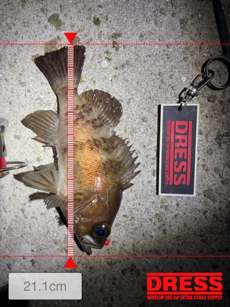 癒しのメバリング