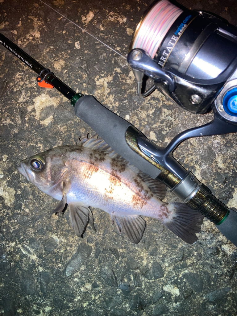 フロートメバリング