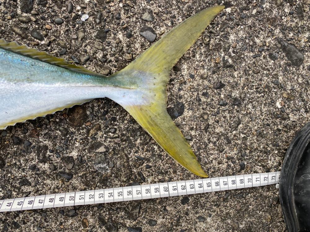 ３時間半、撮れ高ゼロを覚悟したその時！