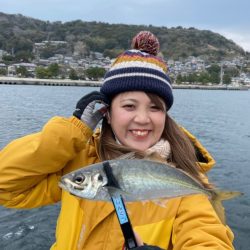 【通詞島・湯島】穴子と鯵とカサゴ、時々メバル