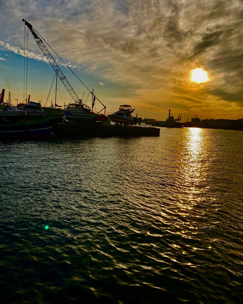 バチ抜けシーズン到来！