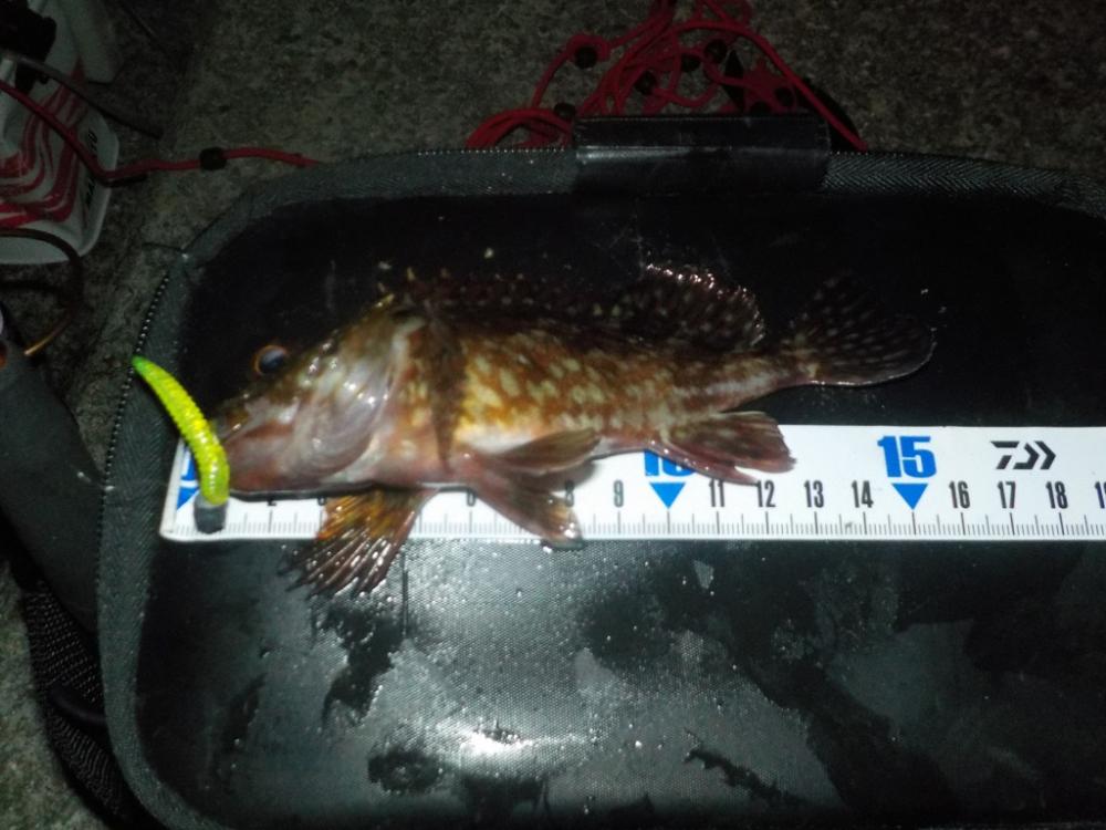 ナイトゲーム3目