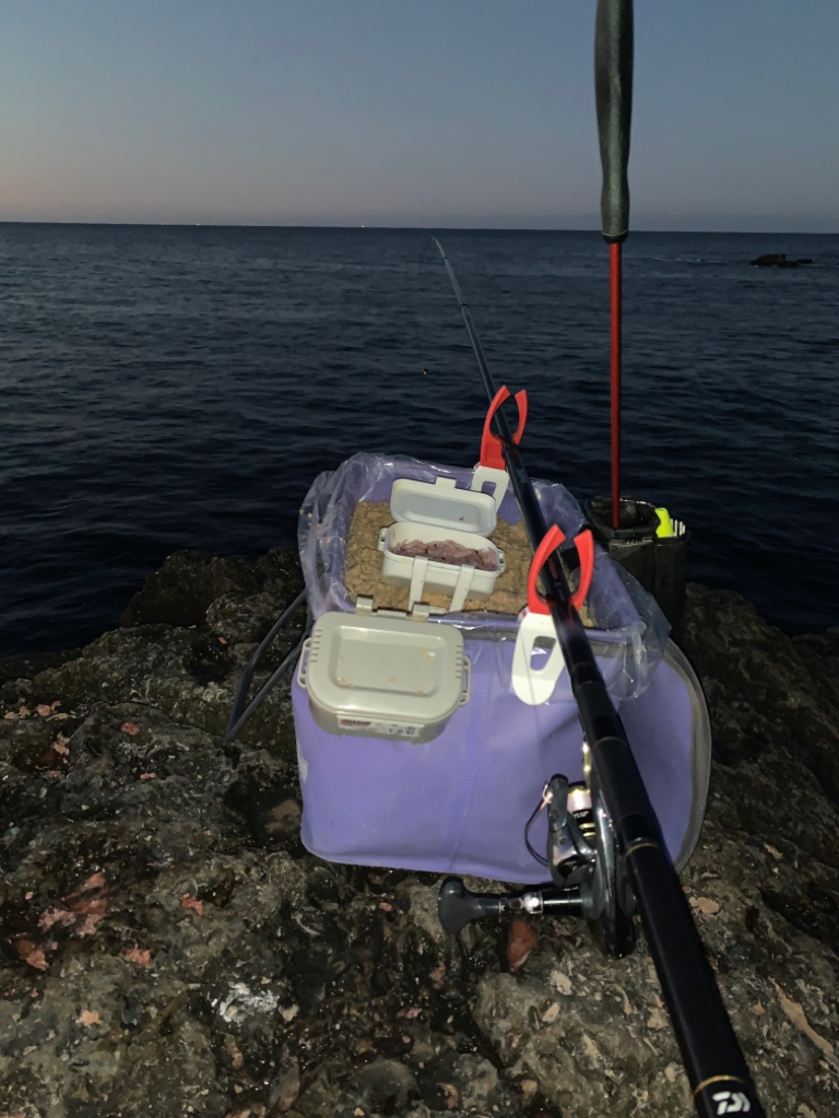 寒グレは難しい(；；)