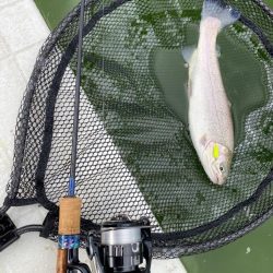 服部緑地攻略戦線