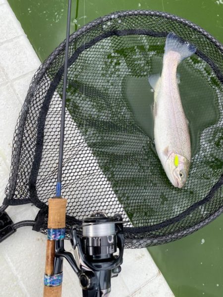 服部緑地攻略戦線