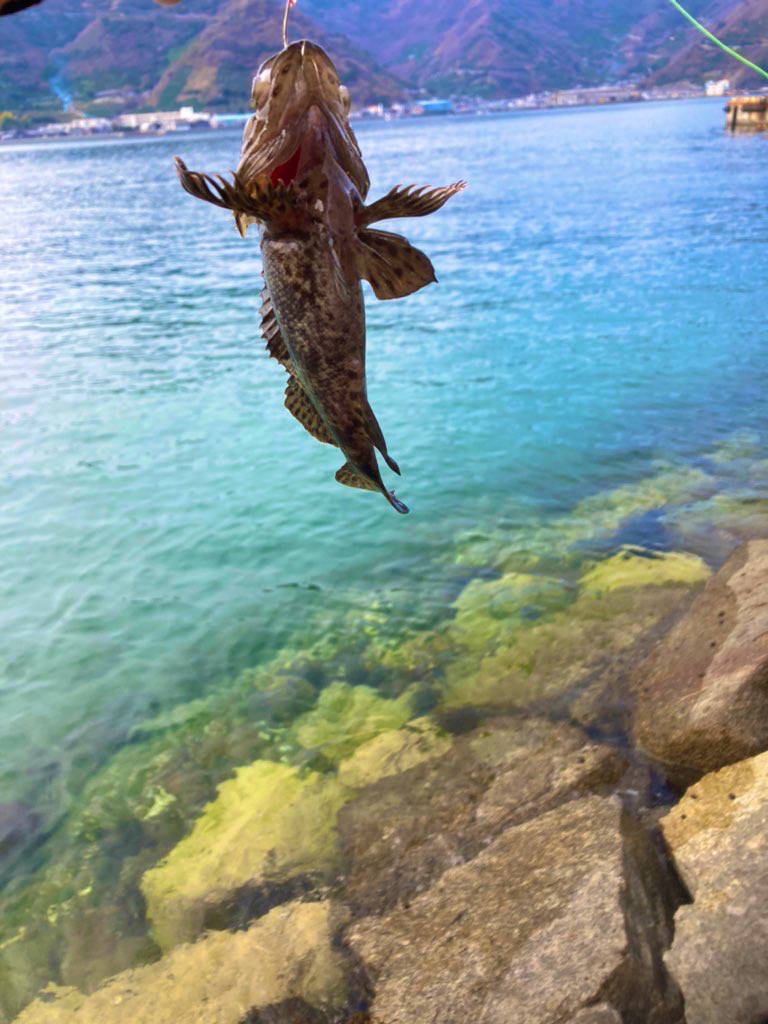 穴釣り 2022 三回目