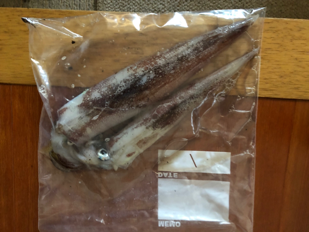 やっとヤリいました〜