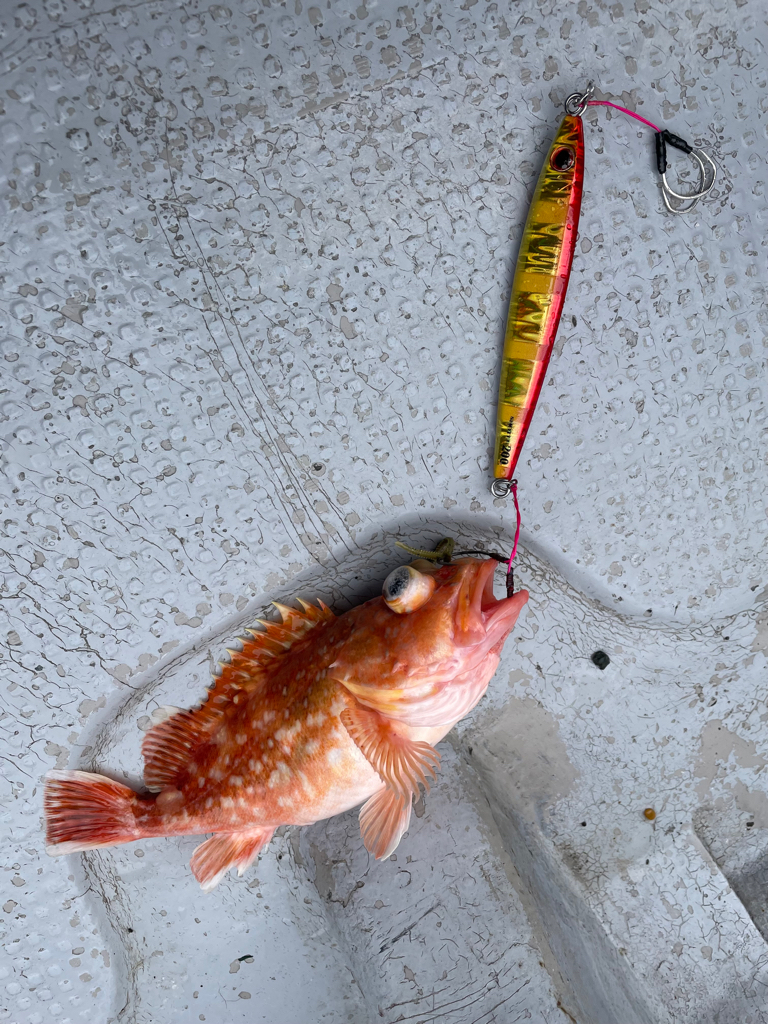 中深海ジギング