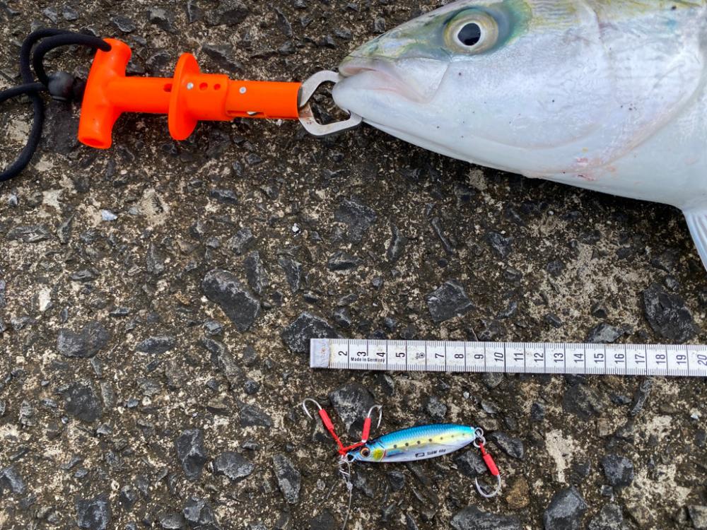 自作の落としダモ初出動！（笑）