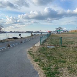 ちょい痩せシーバス