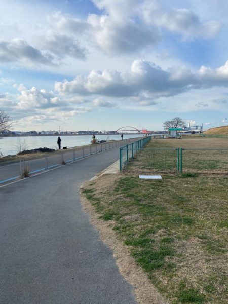 ちょい痩せシーバス