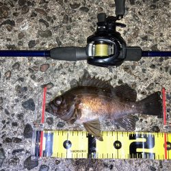 【メバリング】フロートメバリング