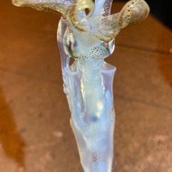 ヒイカおった、おった(^^)